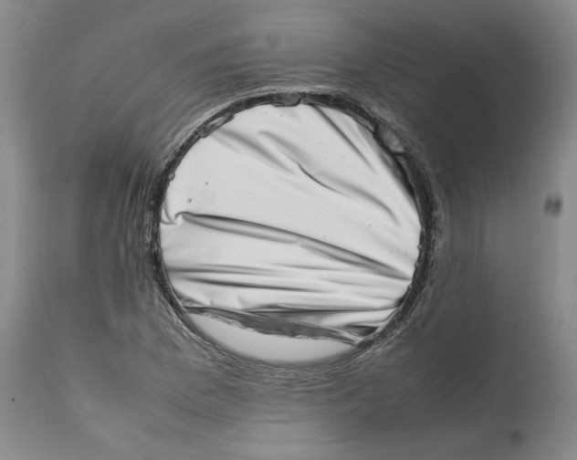 X0000111661169200908071426