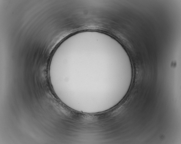 X0000111661170200908071426