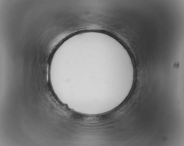 X0000111661171200908071426