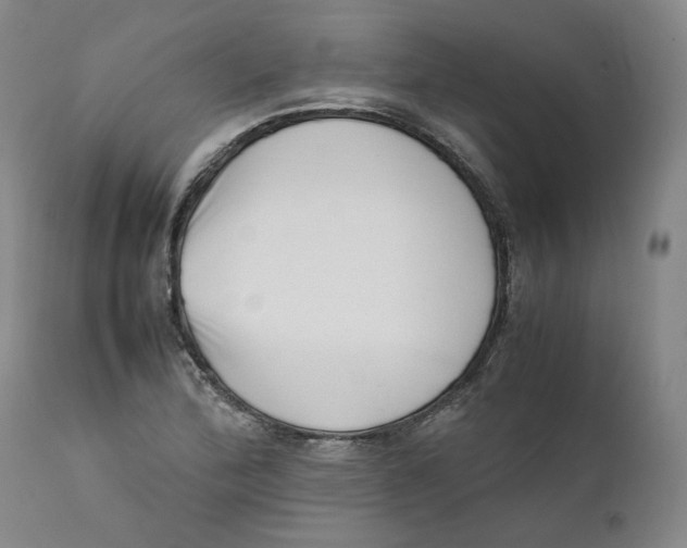 X0000111661172200908071426