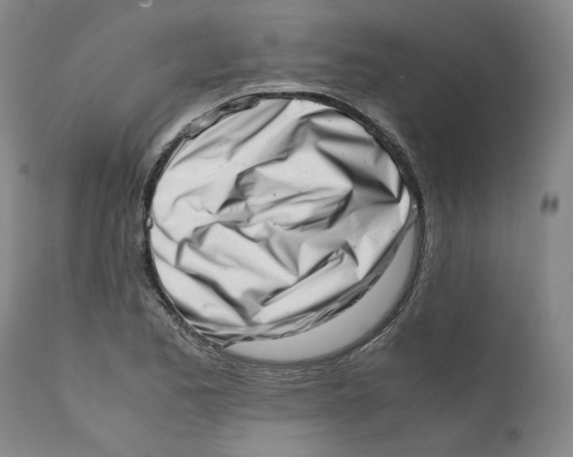 X0000111661173200908071426