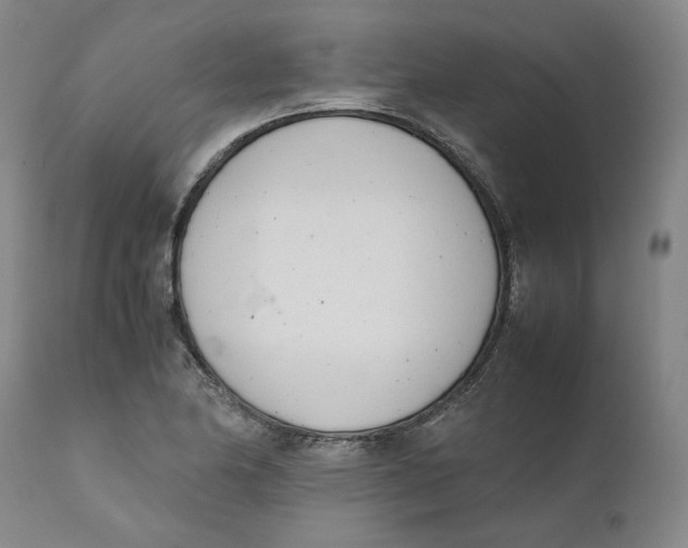 X0000111661174200908071426