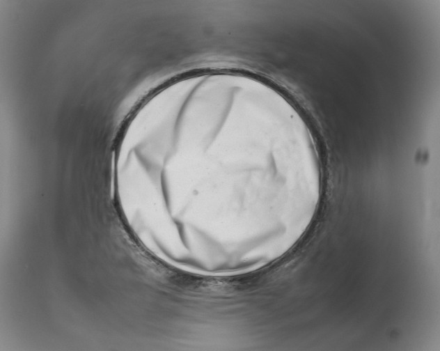 X0000111661175200908071426