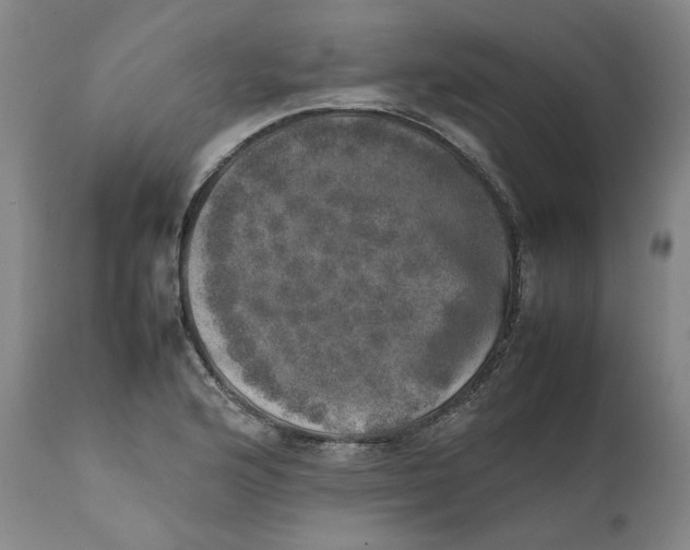 X0000111661176200908071426