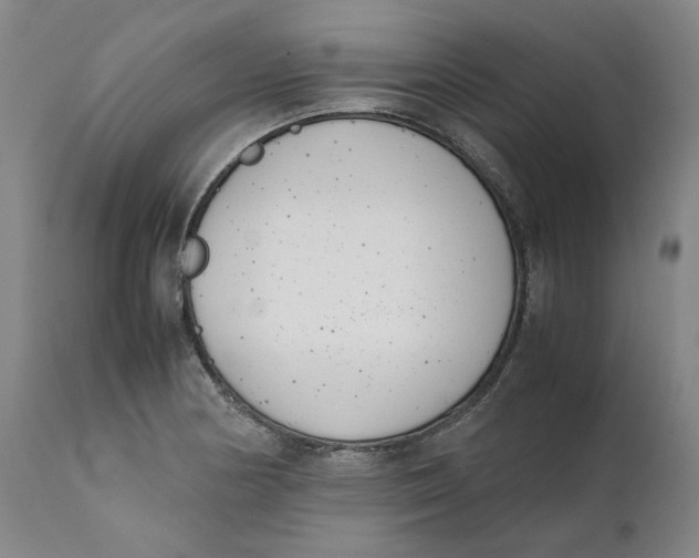 X0000111661178200908071426