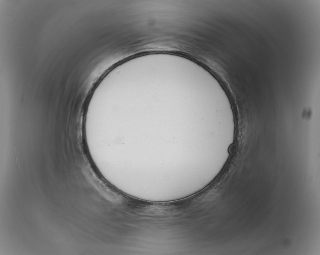 X0000111661179200908071426