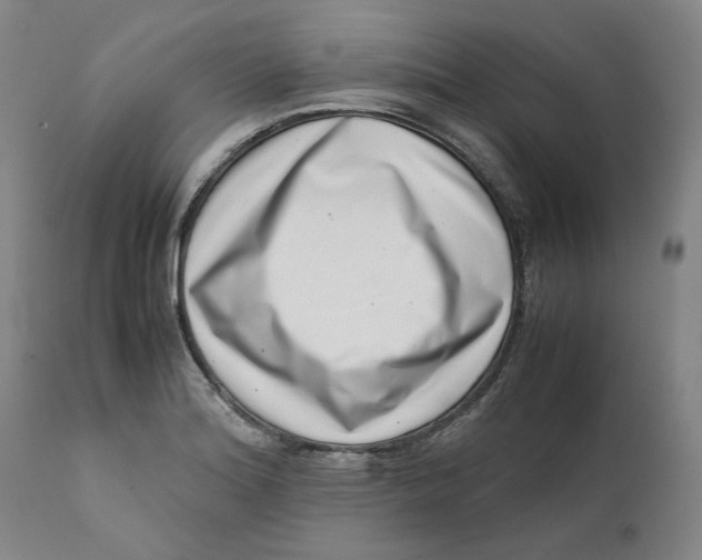 X0000111661180200908071426