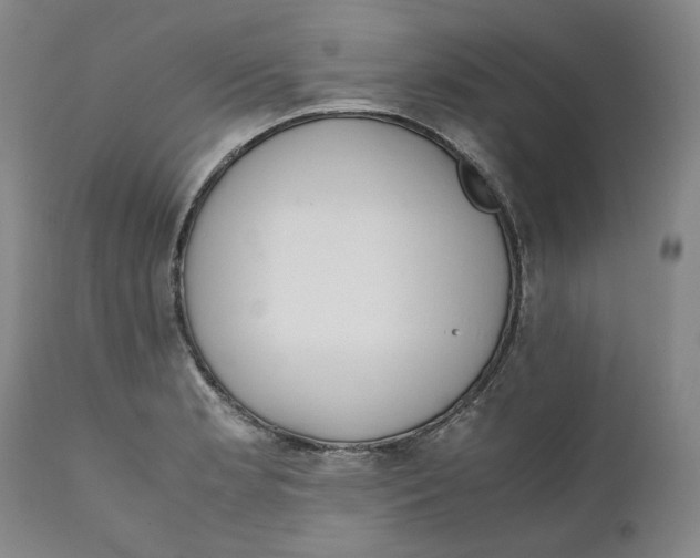 X0000111661181200908071426