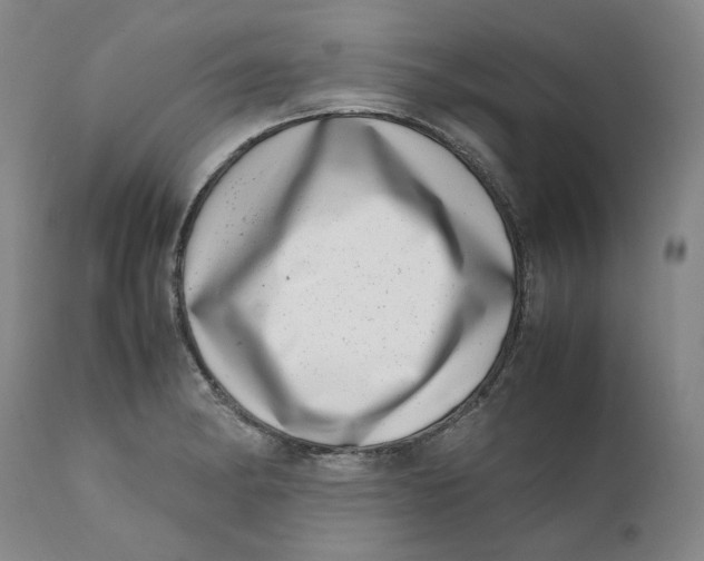 X0000111661182200908071426