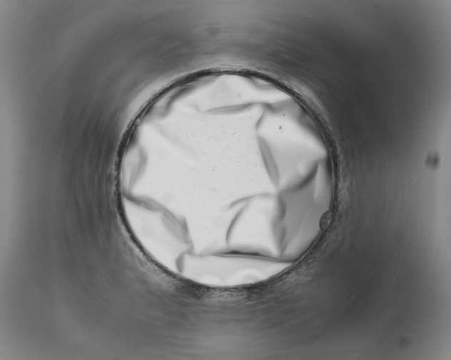 X0000111661183200908071426