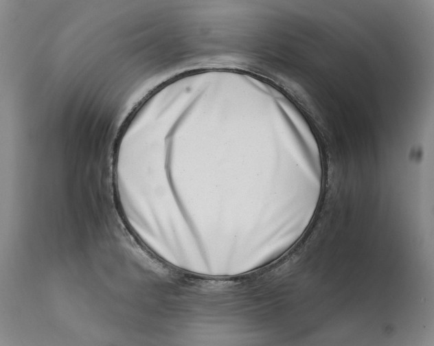 X0000111661184200908071426