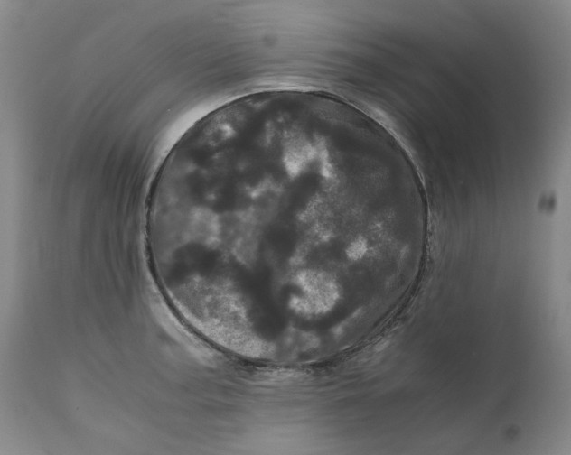 X0000111661187200908071426