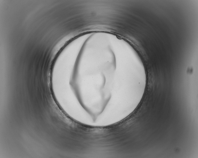 X0000111661188200908071426