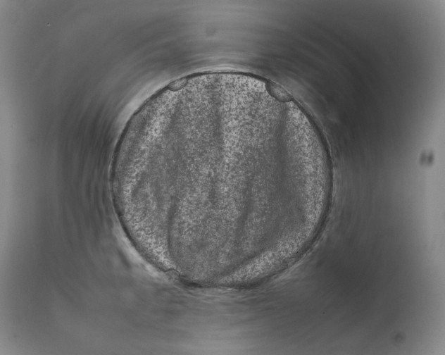 X0000111661189200908071426