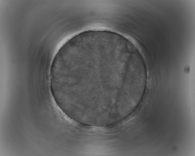 X0000111661191200908071426