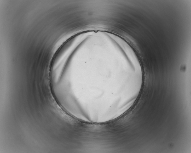 X0000111661192200908071426