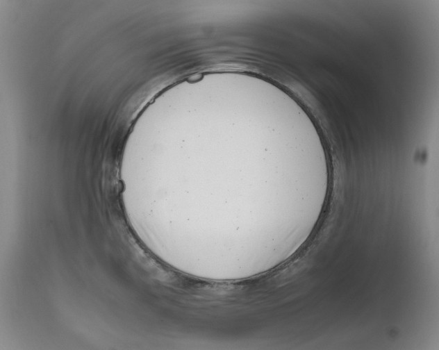 X0000111661193200908071426