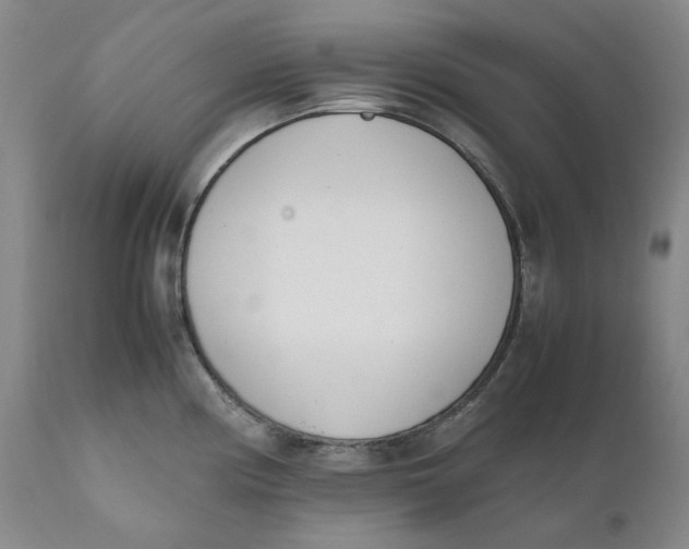 X0000111661194200908071426