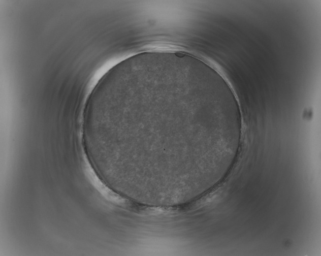 X0000111661195200908071426