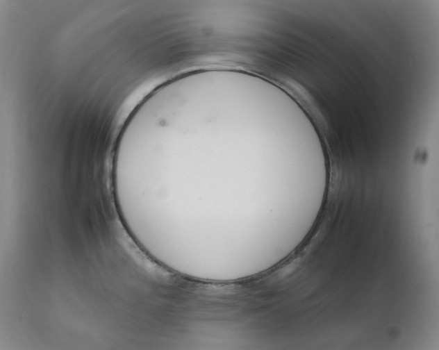 X0000111661196200908071426