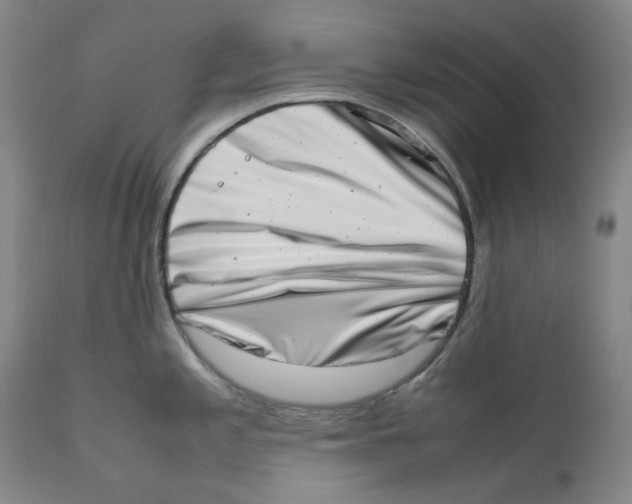 X0000111661197200908071426