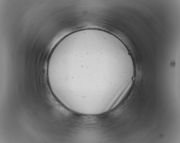 X0000111661198200908071426