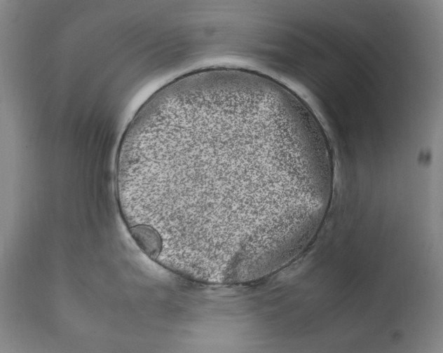 X0000111661199200908071426