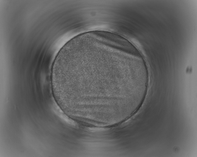 X0000111661200200908071426