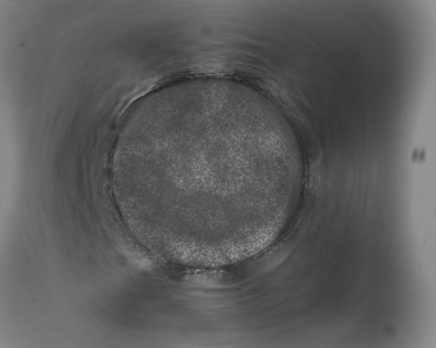 X0000111661201200908071425