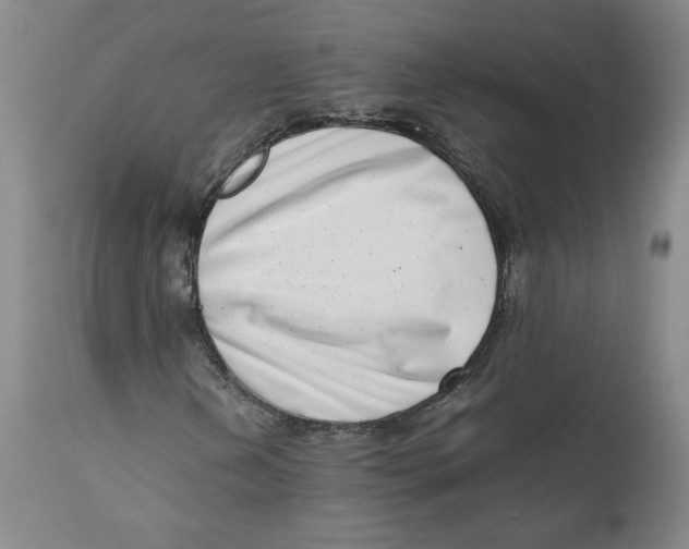 X0000111661202200908071425