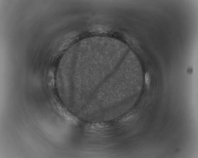 X0000111661203200908071425