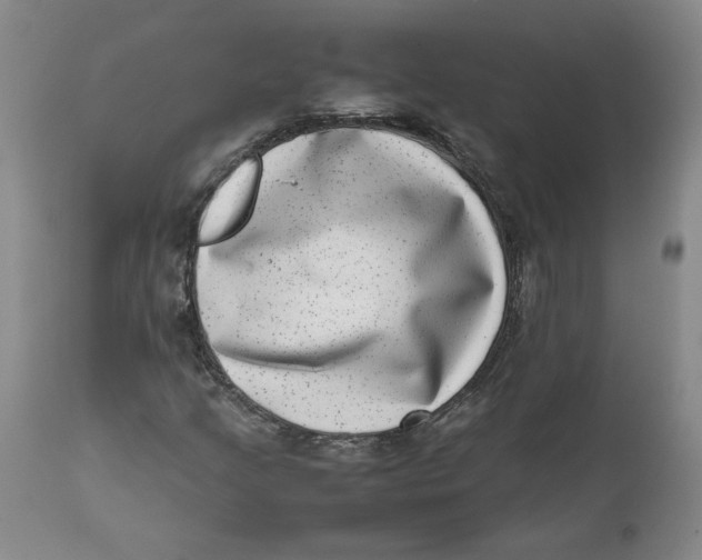 X0000111661205200908071425