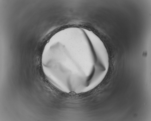 X0000111661206200908071425