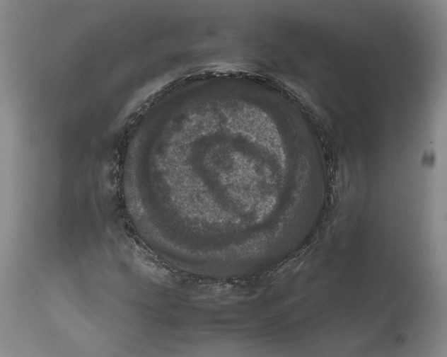 X0000111661207200908071425