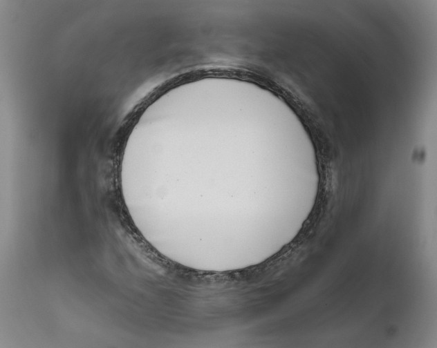 X0000111661208200908071425