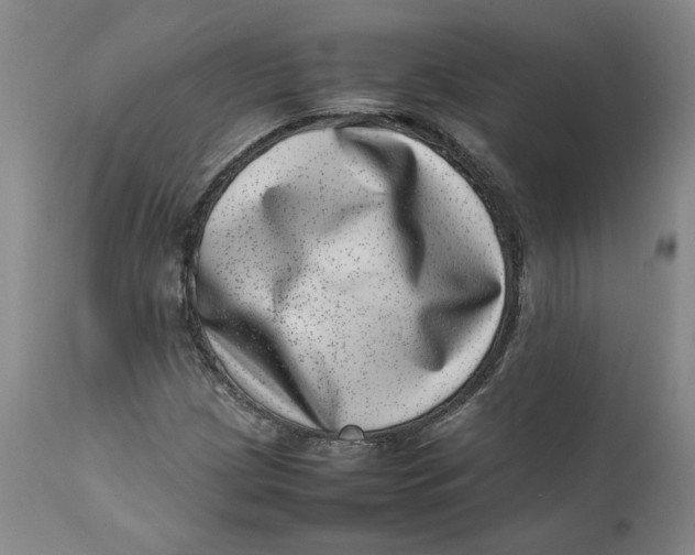 X0000111661209200908071425