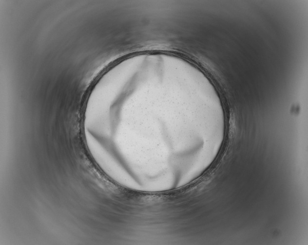 X0000111661212200908071425