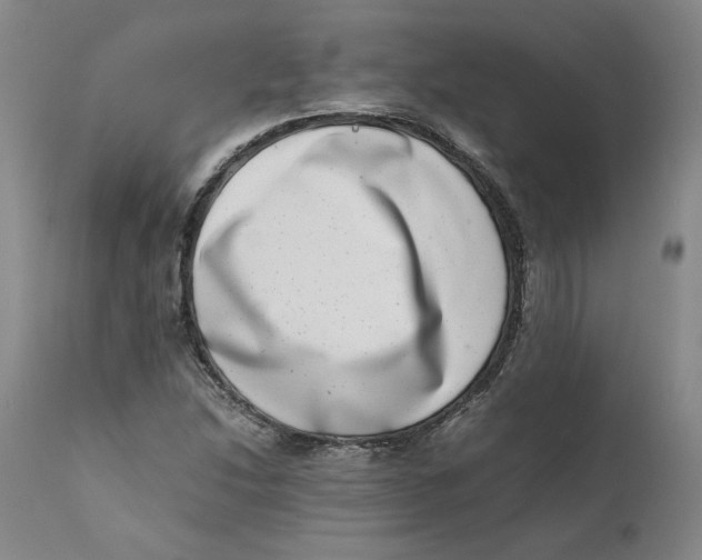 X0000111661214200908071425