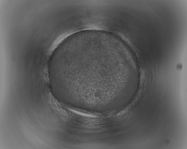 X0000111661215200908071425