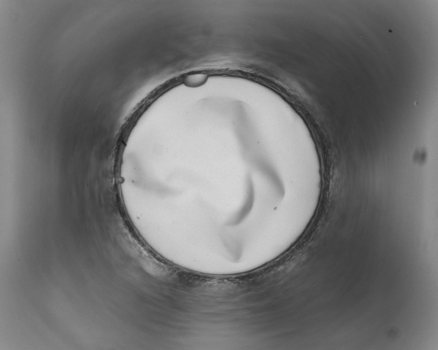 X0000111661216200908071425