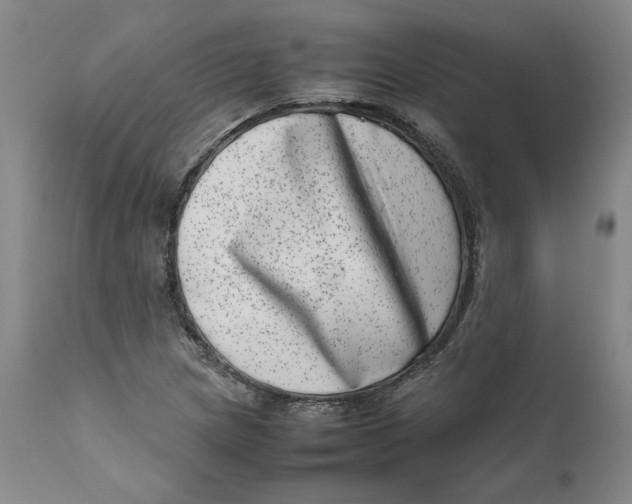 X0000111661217200908071425