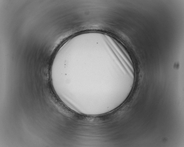 X0000111661218200908071425