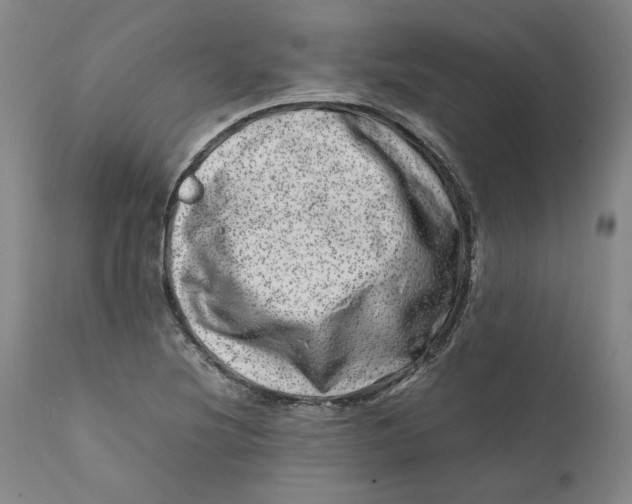 X0000111661220200908071425