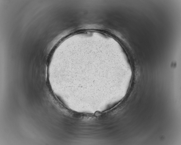 X0000111661221200908071425