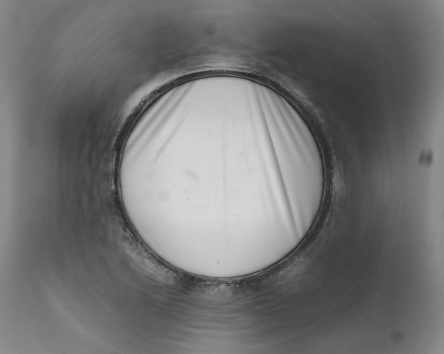 X0000111661222200908071425