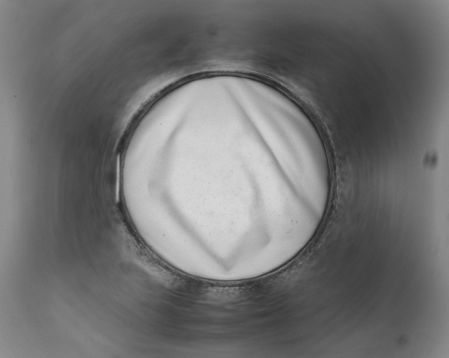 X0000111661223200908071425