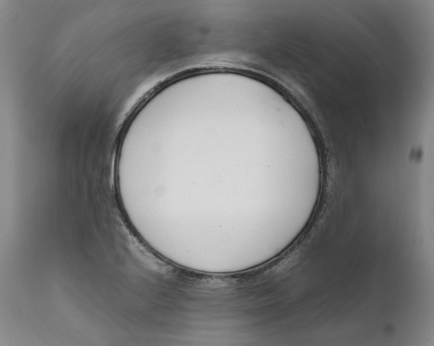 X0000111661224200908071425