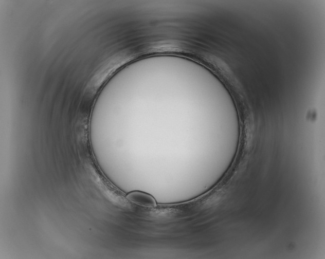 X0000111661225200908071425