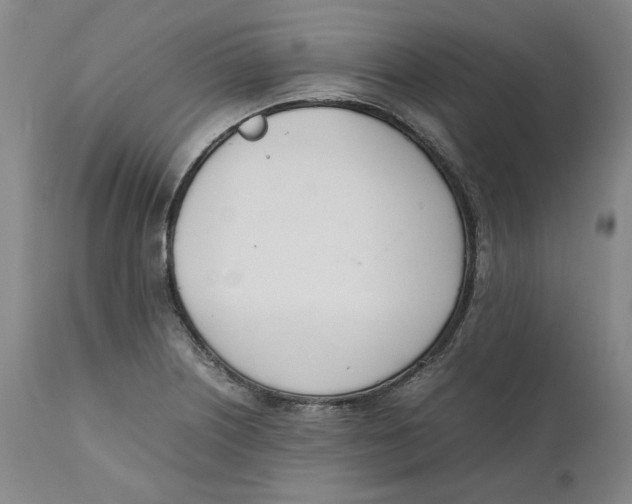 X0000111661226200908071425