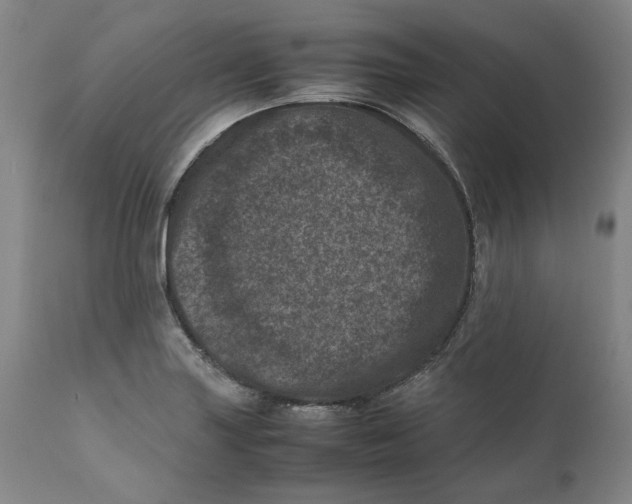 X0000111661227200908071425